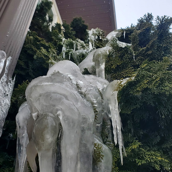 20260206_132928.jpg