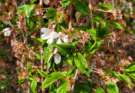 20260415 131041