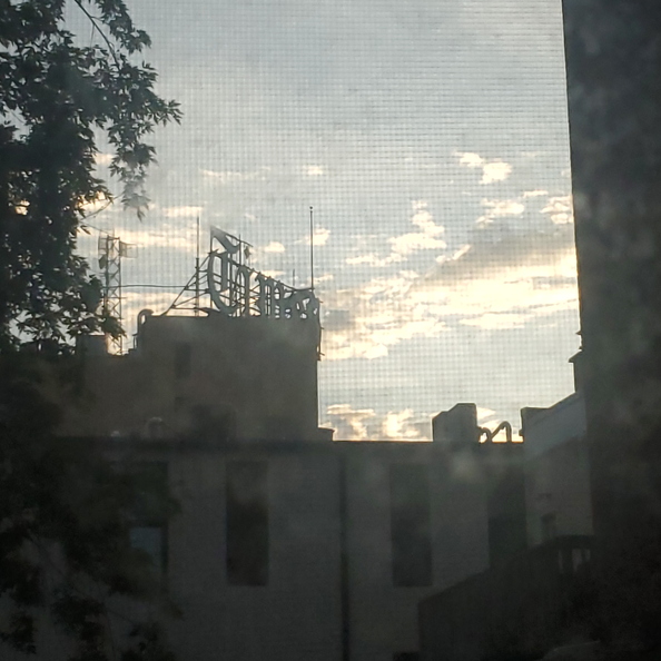 20260625_060222.jpg